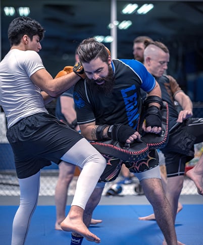 the-art-of-eight-limbs